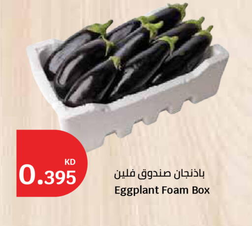Eggplant available at City Hypermarket in Kuwait - Ahmadi Governorate