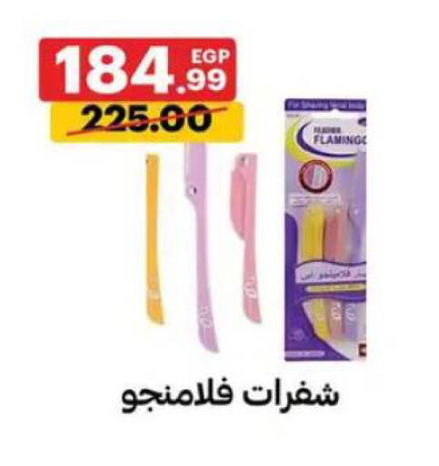 available at الحبيب ماركت in Egypt - القاهرة