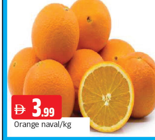 Orange available at المدينة in الإمارات العربية المتحدة , الامارات - الشارقة / عجمان