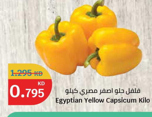 Yellow Capsicum from Egypt available at سيتي هايبرماركت in الكويت - محافظة الجهراء