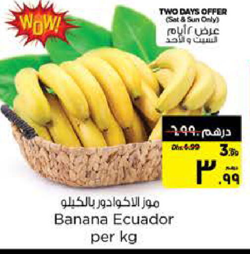 Banana from Ecuador available at نستو هايبرماركت in الإمارات العربية المتحدة , الامارات - الشارقة / عجمان