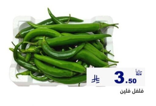 available at أسواق رامز in مملكة العربية السعودية, السعودية, سعودية - الأحساء‎