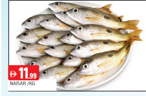 available at المدينة in الإمارات العربية المتحدة , الامارات - الشارقة / عجمان