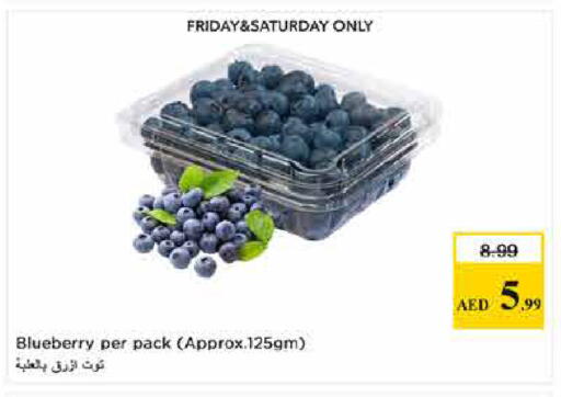 Blueberry BlueBerry available at لاست تشانس in الإمارات العربية المتحدة , الامارات - ٱلْفُجَيْرَة‎