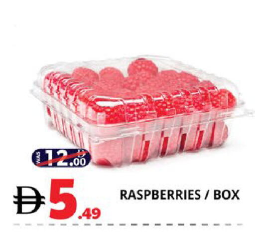 available at اكسبرس المدينة هايبرماركت in الإمارات العربية المتحدة , الامارات - أبو ظبي