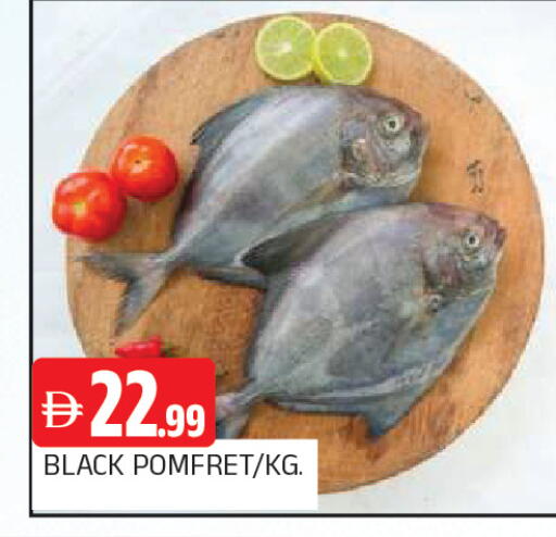 available at المدينة in الإمارات العربية المتحدة , الامارات - الشارقة / عجمان