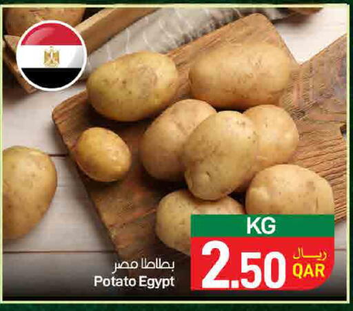 Potato from Egypt available at ســبــار in قطر - الوكرة