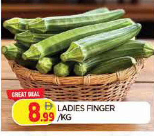 available at المدينة in الإمارات العربية المتحدة , الامارات - الشارقة / عجمان