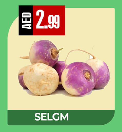 available at ريفييرا سوبرماركت in الإمارات العربية المتحدة , الامارات - أبو ظبي