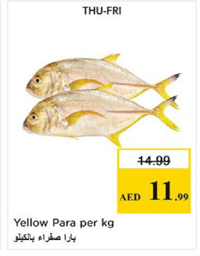 available at Nesto Hypermarket in UAE - Fujairah