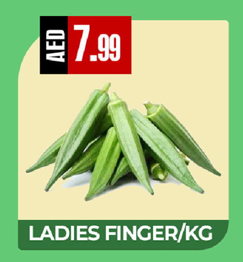 available at ريفييرا سوبرماركت in الإمارات العربية المتحدة , الامارات - أبو ظبي