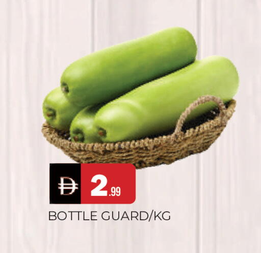 available at المدينة in الإمارات العربية المتحدة , الامارات - الشارقة / عجمان