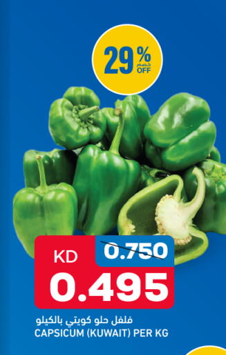 Capsicum from Kuwait available at Oncost in Kuwait - Jahra Governorate