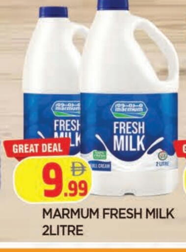 available at المدينة in الإمارات العربية المتحدة , الامارات - الشارقة / عجمان