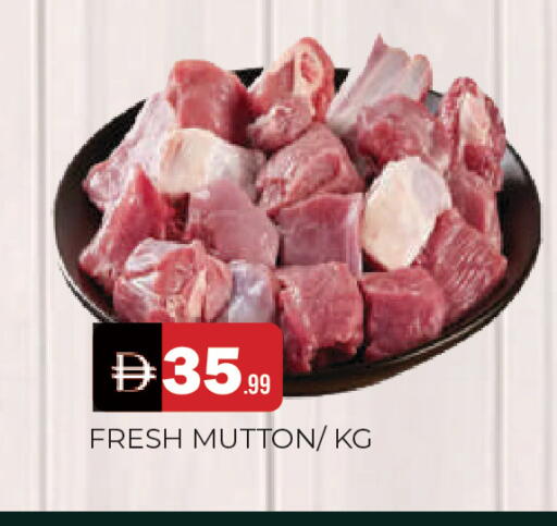 available at المدينة in الإمارات العربية المتحدة , الامارات - الشارقة / عجمان