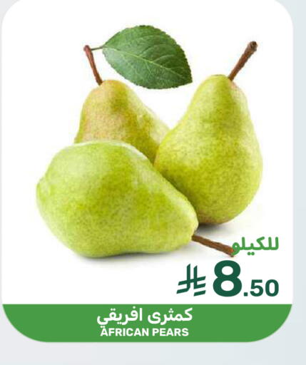 available at  مـزايــا in مملكة العربية السعودية, السعودية, سعودية - المنطقة الشرقية