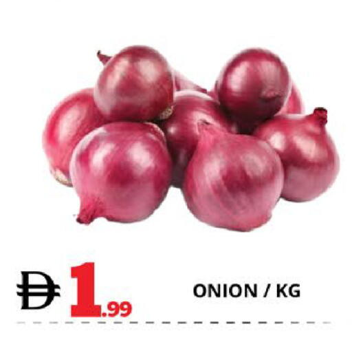 Onion available at اكسبرس المدينة هايبرماركت in الإمارات العربية المتحدة , الامارات - أبو ظبي