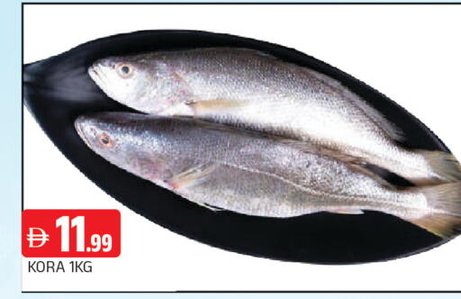 available at المدينة in الإمارات العربية المتحدة , الامارات - الشارقة / عجمان