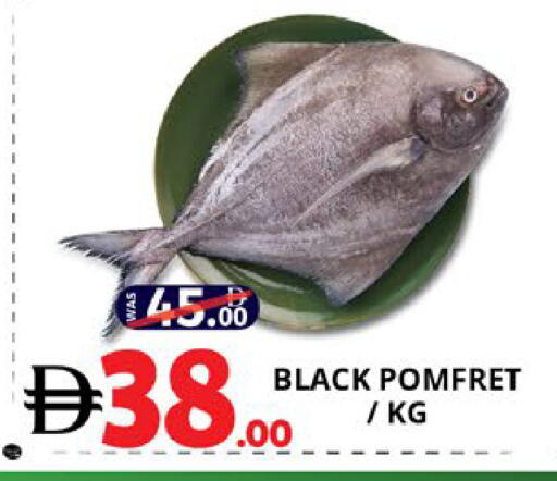 available at اكسبرس المدينة هايبرماركت in الإمارات العربية المتحدة , الامارات - أبو ظبي