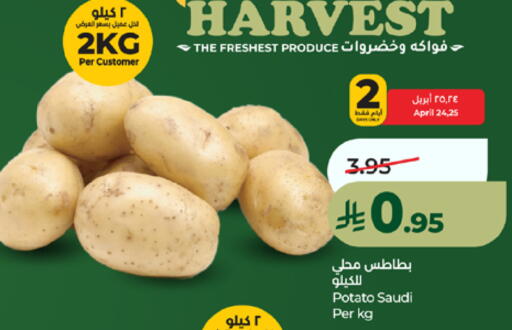 Potato from Saudi Arabia available at لولو هايبرماركت in مملكة العربية السعودية, السعودية, سعودية - مكة المكرمة