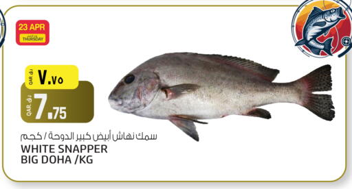 available at السعودية in قطر - أم صلال