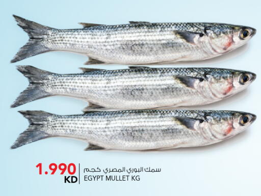 available at  ALNASSER HYPERMARKET in Kuwait - Ahmadi Governorate