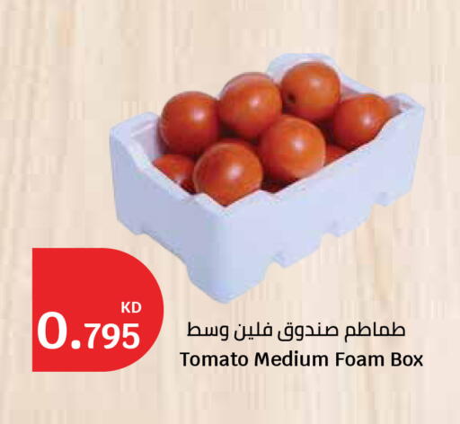 Tomato available at City Hypermarket in Kuwait - Ahmadi Governorate