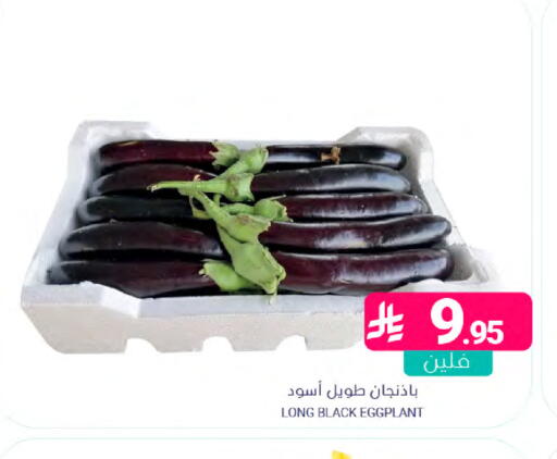 Eggplant available at اسواق المنتزه in مملكة العربية السعودية, السعودية, سعودية - المنطقة الشرقية