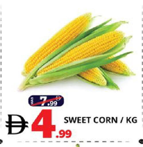 available at اكسبرس المدينة هايبرماركت in الإمارات العربية المتحدة , الامارات - أبو ظبي