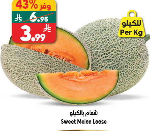 Melon available at الدكان in مملكة العربية السعودية, السعودية, سعودية - مكة المكرمة