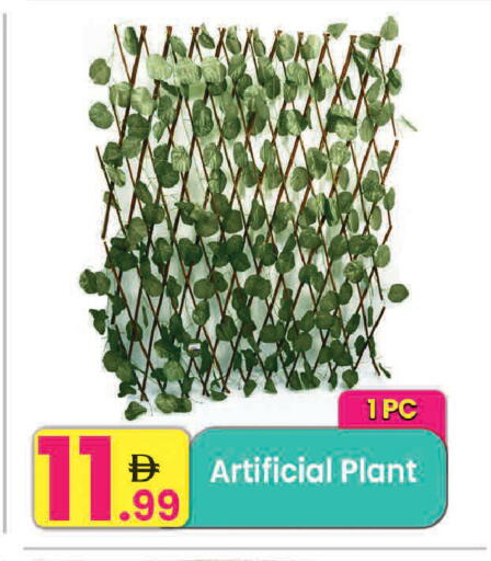 available at Everyday Center in UAE - Sharjah / Ajman