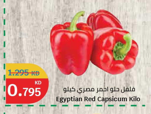 Red Capsicum from Egypt available at سيتي هايبرماركت in الكويت - محافظة الجهراء