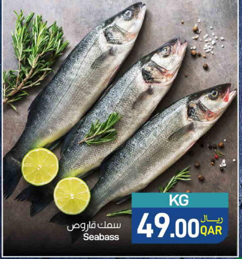 available at ســبــار in قطر - أم صلال