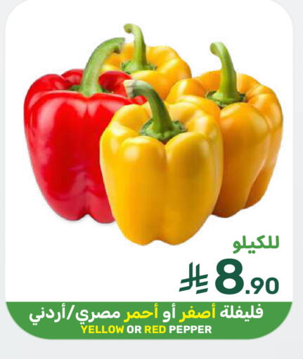 Pepper available at  مـزايــا in مملكة العربية السعودية, السعودية, سعودية - المنطقة الشرقية
