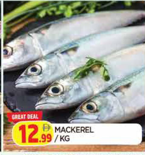 available at المدينة in الإمارات العربية المتحدة , الامارات - الشارقة / عجمان