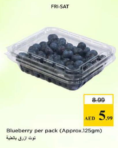 Blueberry BlueBerry available at نستو هايبرماركت in الإمارات العربية المتحدة , الامارات - دبي