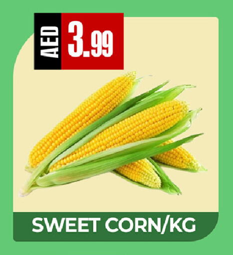 available at ريفييرا سوبرماركت in الإمارات العربية المتحدة , الامارات - أبو ظبي