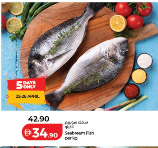 available at لولو هايبرماركت in الإمارات العربية المتحدة , الامارات - رَأْس ٱلْخَيْمَة