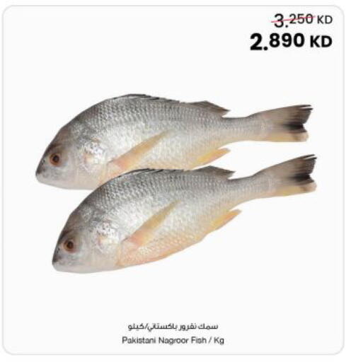 available at The Sultan Center in Kuwait - Jahra Governorate