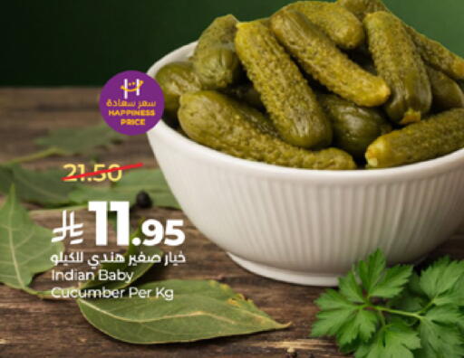Cucumber from India available at لولو هايبرماركت in مملكة العربية السعودية, السعودية, سعودية - مكة المكرمة