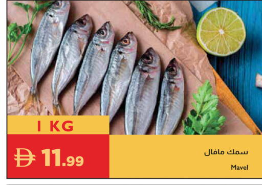 available at إسطنبول سوبرماركت in الإمارات العربية المتحدة , الامارات - دبي