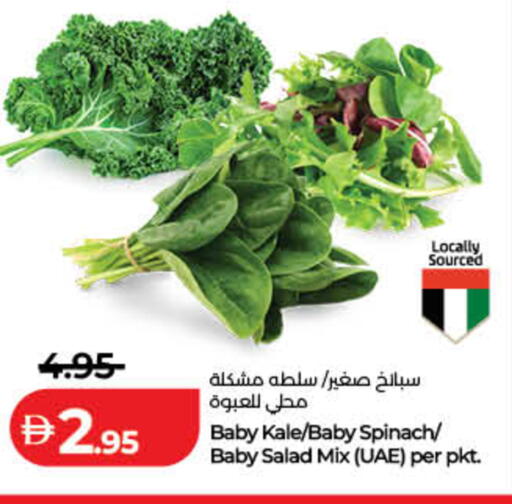 Kale Spinach available at لولو هايبرماركت in الإمارات العربية المتحدة , الامارات - دبي