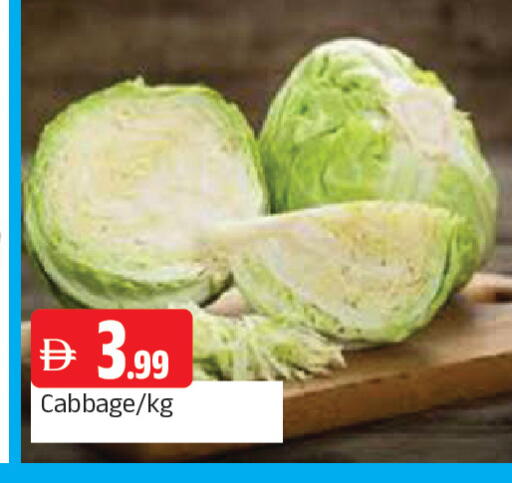 Cabbage available at المدينة in الإمارات العربية المتحدة , الامارات - الشارقة / عجمان