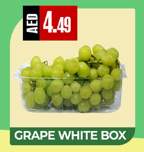 available at ريفييرا سوبرماركت in الإمارات العربية المتحدة , الامارات - أبو ظبي