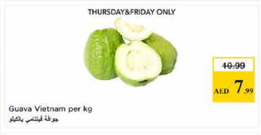 Guava from Vietnam available at لاست تشانس in الإمارات العربية المتحدة , الامارات - ٱلْفُجَيْرَة‎
