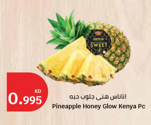 Pineapple from Kenya available at سيتي هايبرماركت in الكويت - محافظة الأحمدي