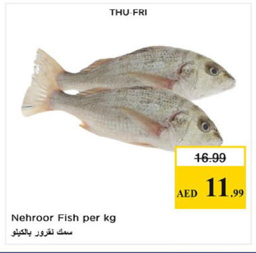 available at Nesto Hypermarket in UAE - Fujairah