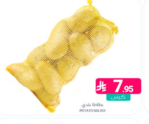 Potato available at اسواق المنتزه in مملكة العربية السعودية, السعودية, سعودية - المنطقة الشرقية