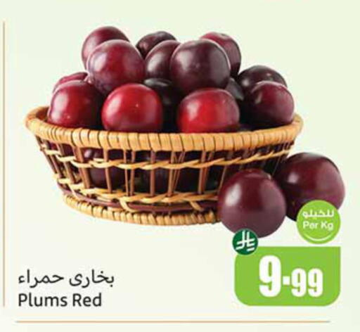 Plums available at Othaim Markets in KSA, Saudi Arabia, Saudi - Jazan