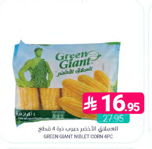 available at اسواق المنتزه in مملكة العربية السعودية, السعودية, سعودية - المنطقة الشرقية